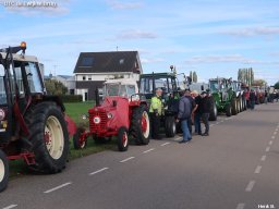 ws 290